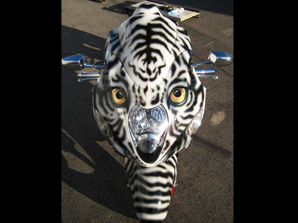 tiger bike 5.jpg