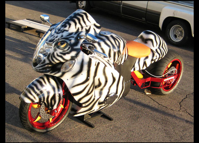tiger bike web 5.jpg