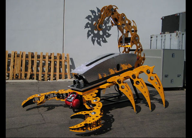 yellow orange scorpion 6.jpg