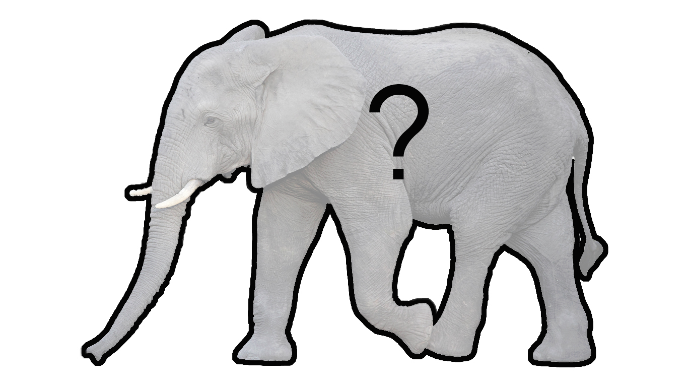 elephantintheroomimage1.jpg